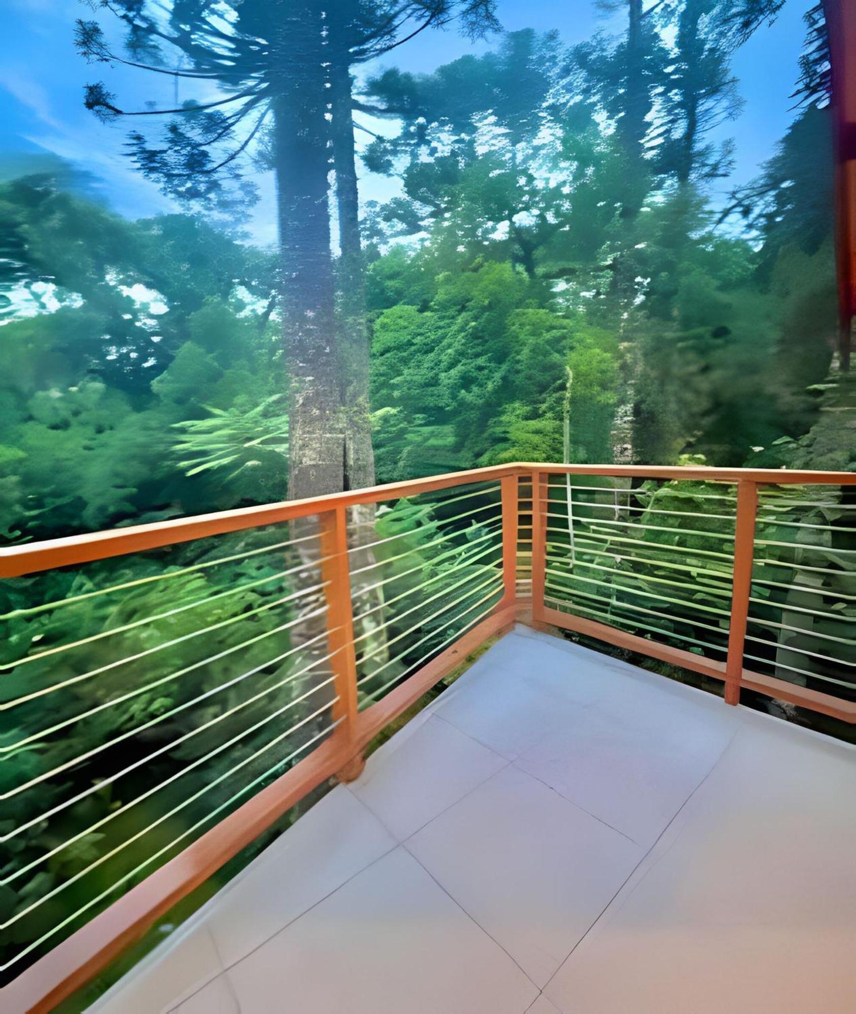 Holiday home Suspensa Na Natureza - Regiao Turistica