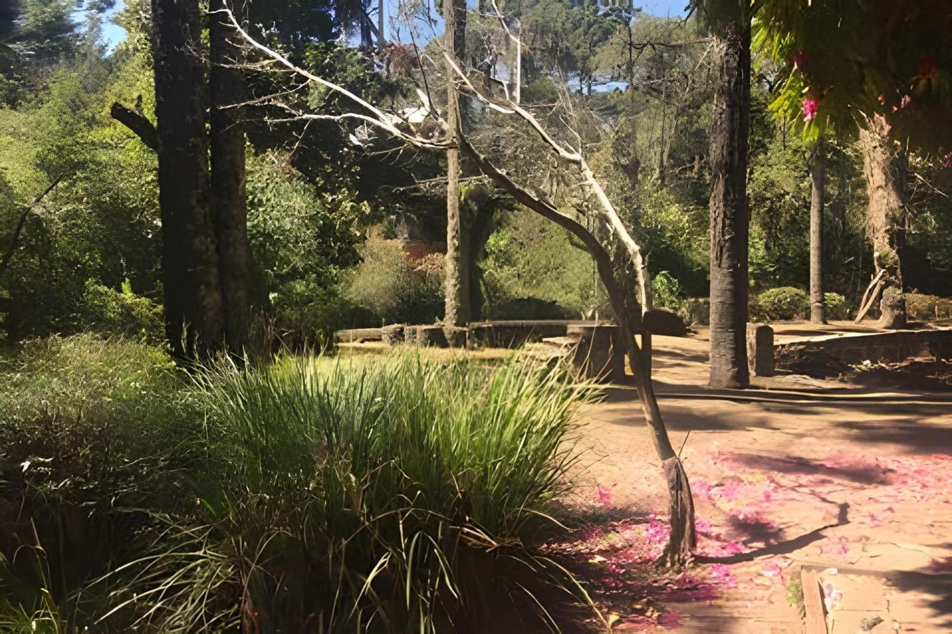 Suspensa Na Natureza - Regiao Turistica Holiday home Campos do Jordao
