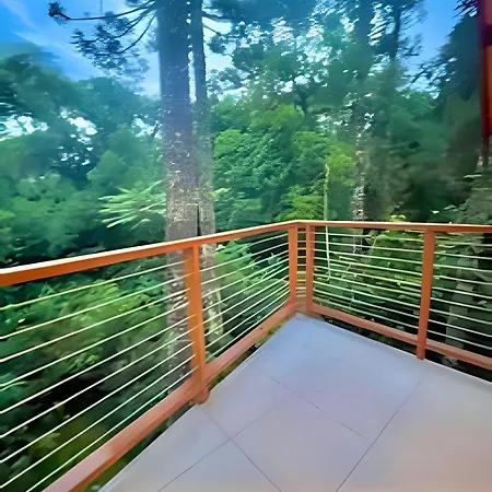 Cabana Suspensa Na Natureza - Regiao Turistica Campos do Jordao Exterior photo